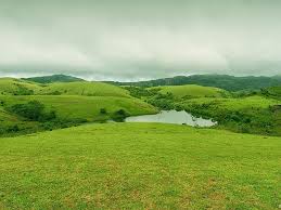 Vagamon Meadows