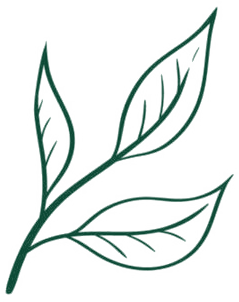 Leaf Left